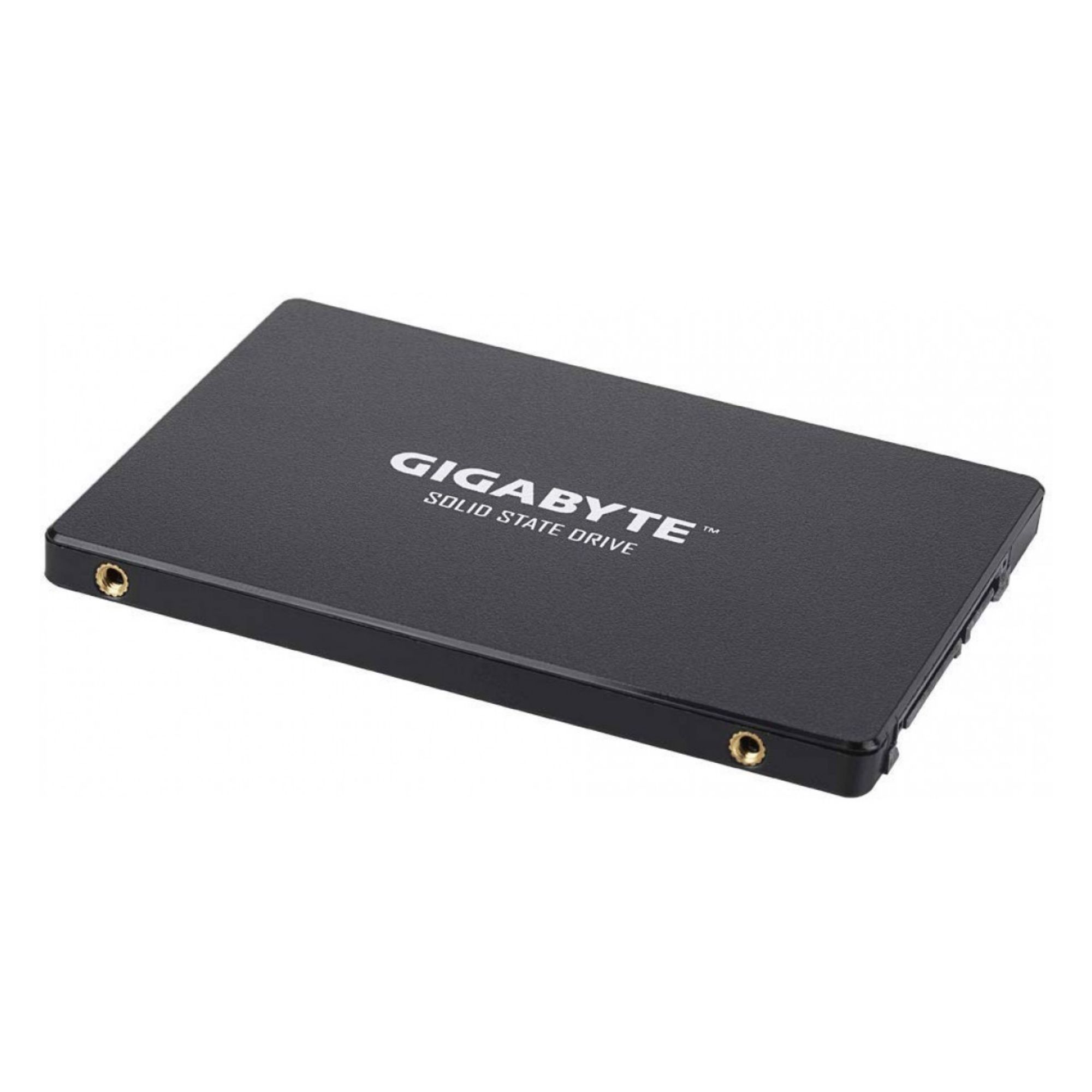 SSD GIGABYTE 1TB, SATA 6Gb/s (L=550MB/s / E=500MB/s) - GP-GSTFS31100TNTD